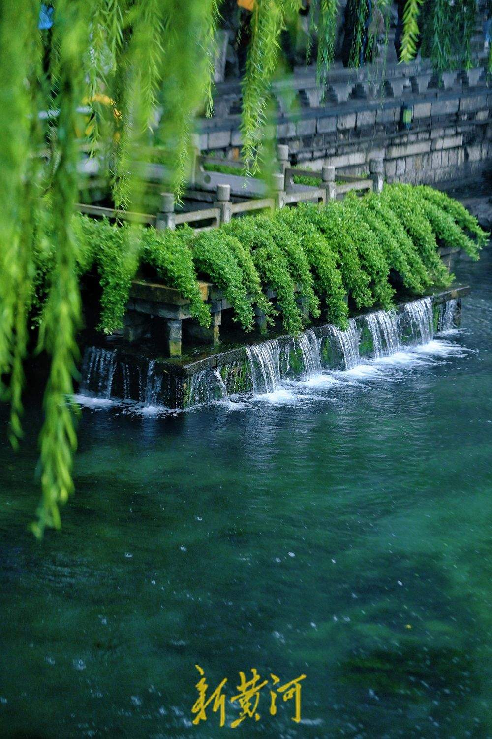 雨中赏“泉水叮咚”，玛瑙泉满溢似“珠帘”