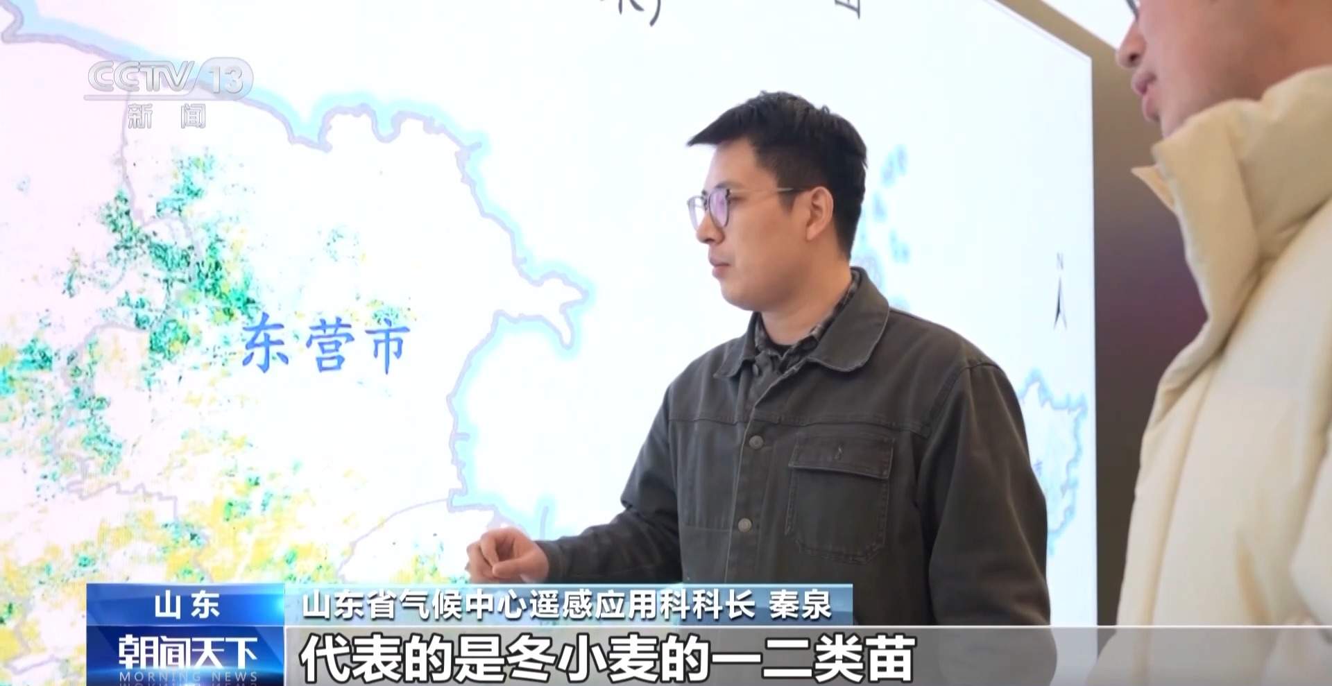 晚播麦吃上“营养餐” 山东精细化田管助小麦“强筋健骨”