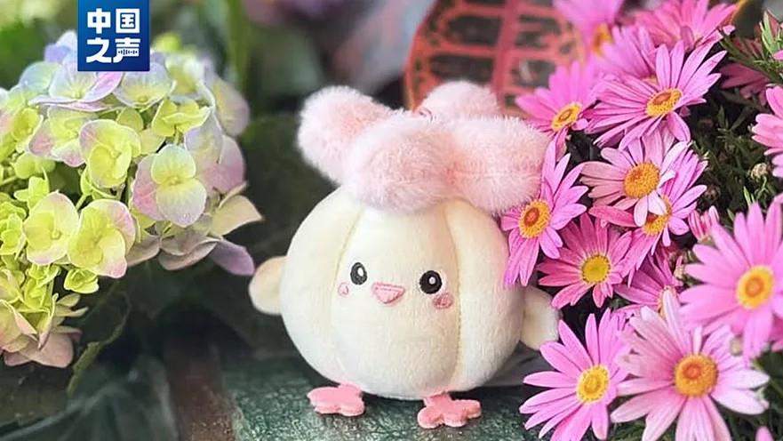 “蒜鸟~蒜鸟~”武汉公交“劝和员”表现亮眼