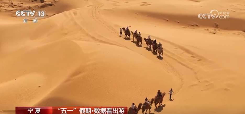 透过数据看“五一” 假期文旅市场热力十足