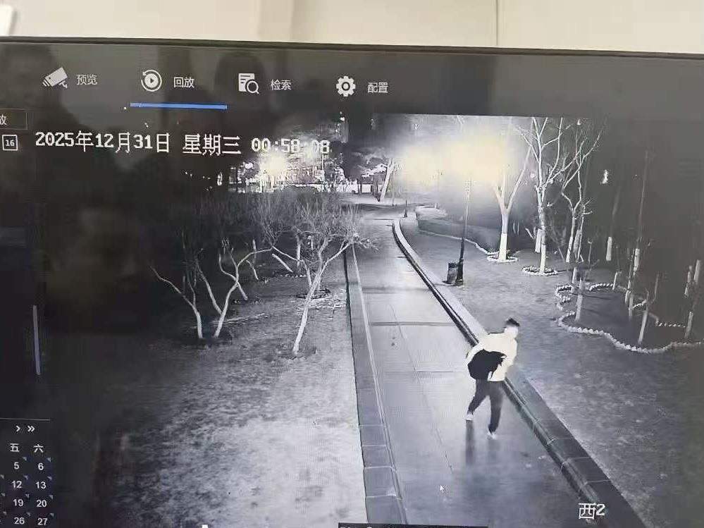 大连儿童公园一黑天鹅被偷后，两拨市民先后购买两对黑天鹅放生，公园管理方：园内禁止放生，不希望人工湖变天鹅湖