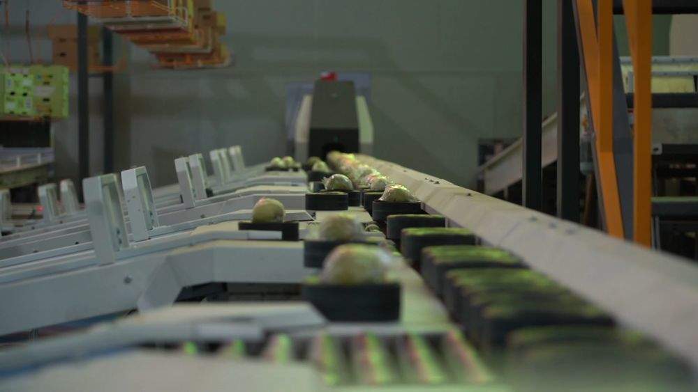 金秋丰收绘新景 乡村振兴谱华章