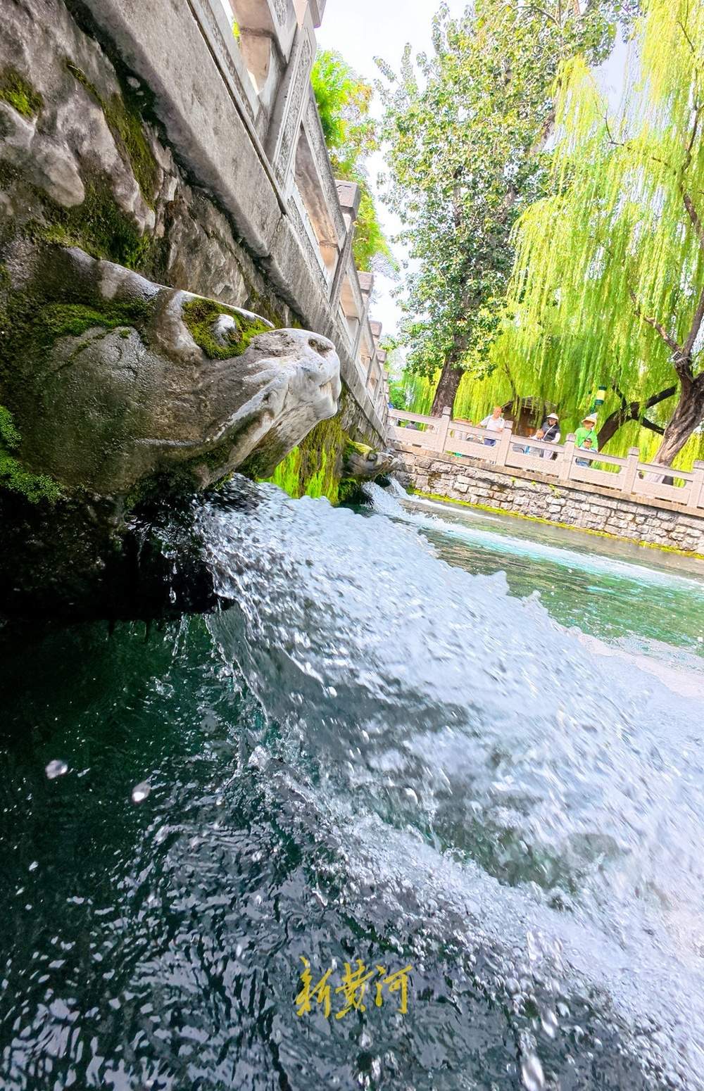 喷涌势头旺盛，济南黑虎泉将迎恢复喷涌22周年