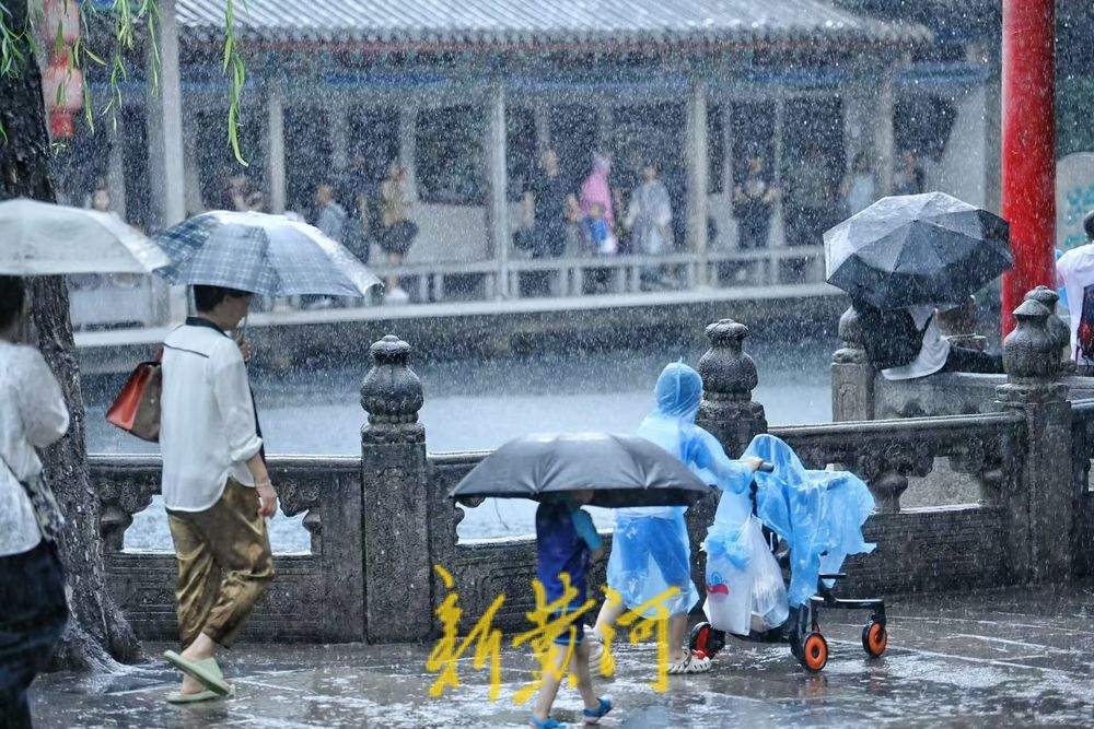 一年四季 泉在济南丨趵突泉畔雨中赏泉 仿佛置身画境