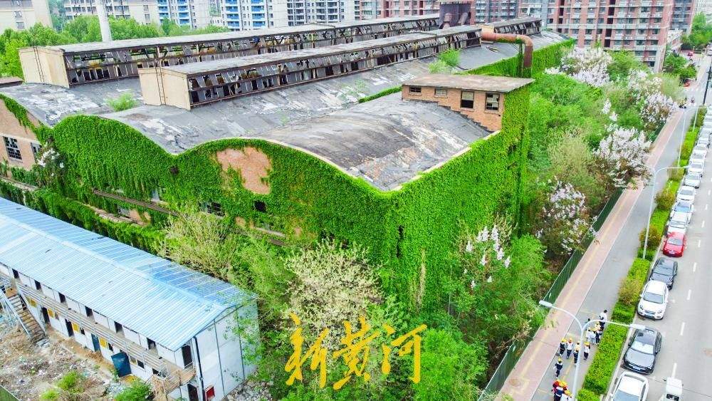 济南这座工业遗迹披青藤，老厂房变身“绿野仙踪”