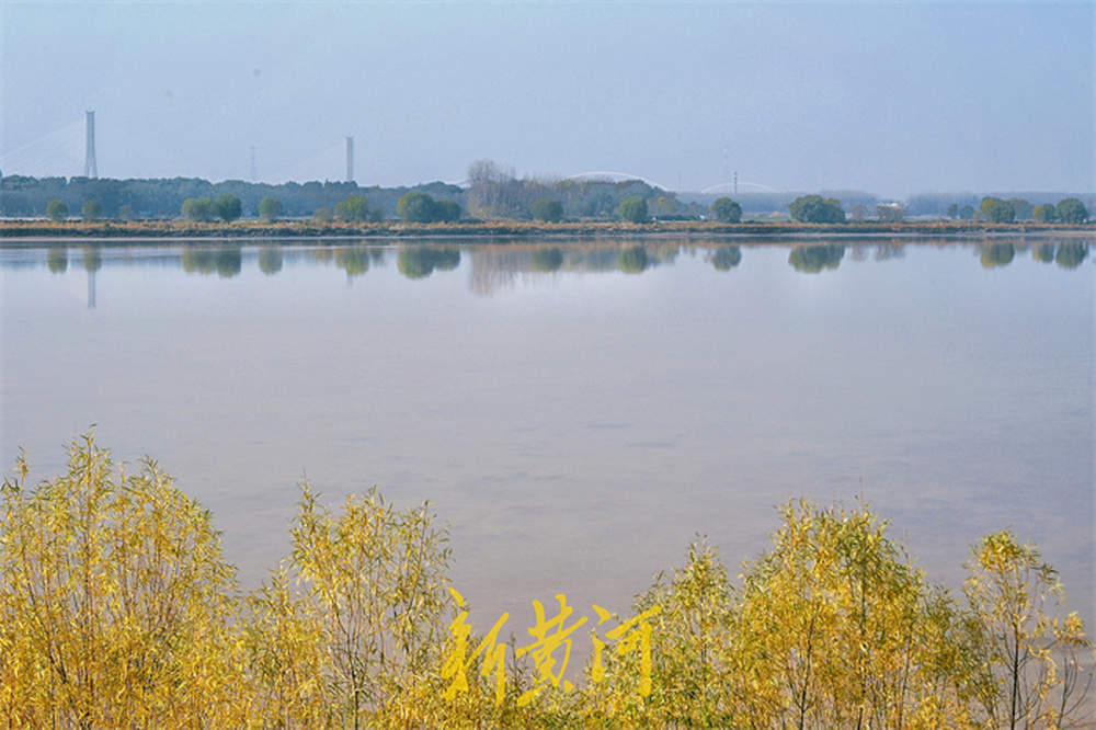 一年四季 泉在济南丨黄河倒影，别具诗意