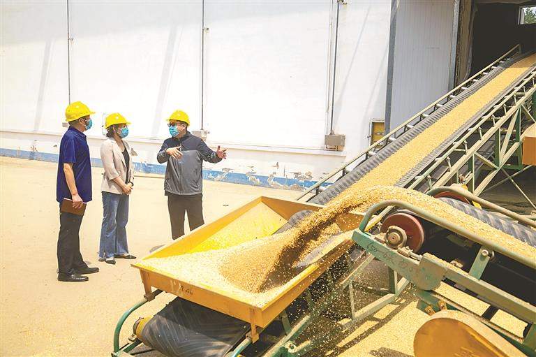 山东深化粮食购销领域腐败问题专项整治 堵住漏洞守好齐鲁粮仓