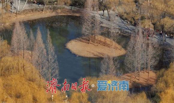 色彩斑斓！初春的济南森林公园生机勃勃