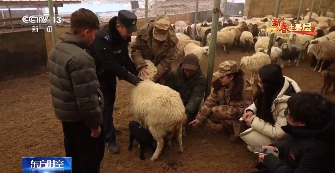 新春走基层丨6年走过近8000公里山路 她们扎根高原守护祖国