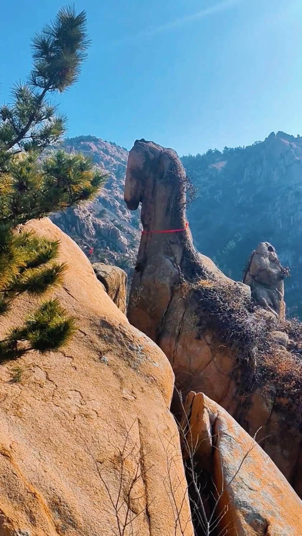青岛大珠山“骏马奇石”借马年走红 游客打卡沾喜气