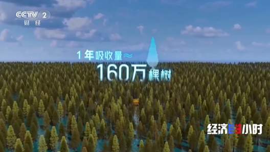 中国算力基建开辟海上赛道 探访全球首个海底数据中心