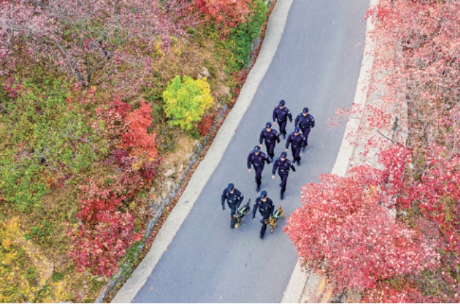 警徽闪耀母亲河——济南公安“生态警务”筑牢黄河安澜防线