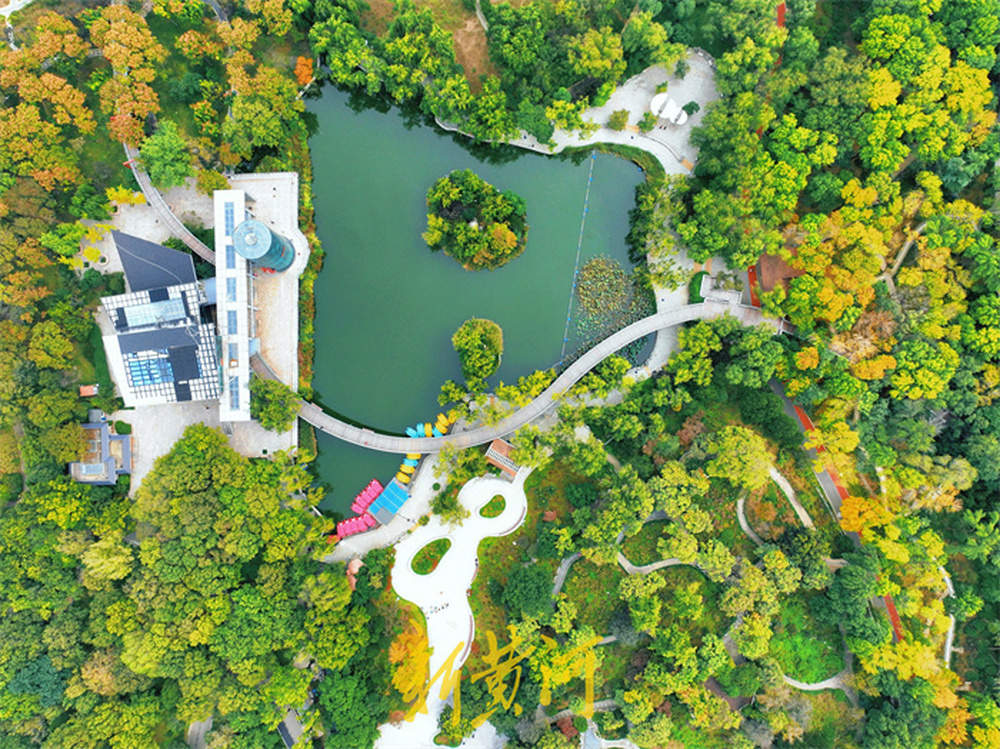 泉城公园进入最佳观赏季，空中俯瞰五彩斑斓处处皆景