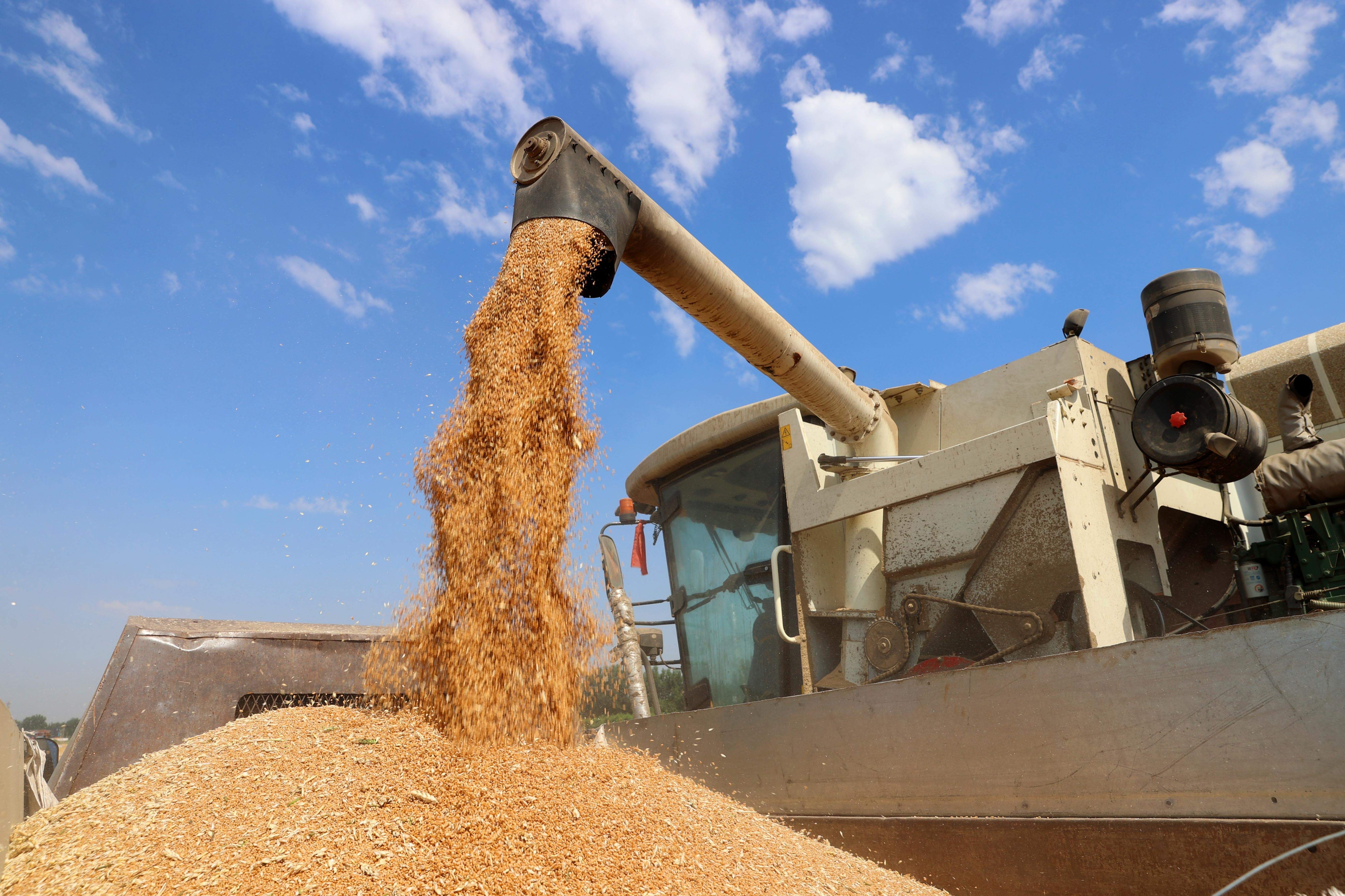 奋进在泉城沃野 奏响乡村振兴强音——深入学习贯彻习近平总书记视察山东重要讲话精神