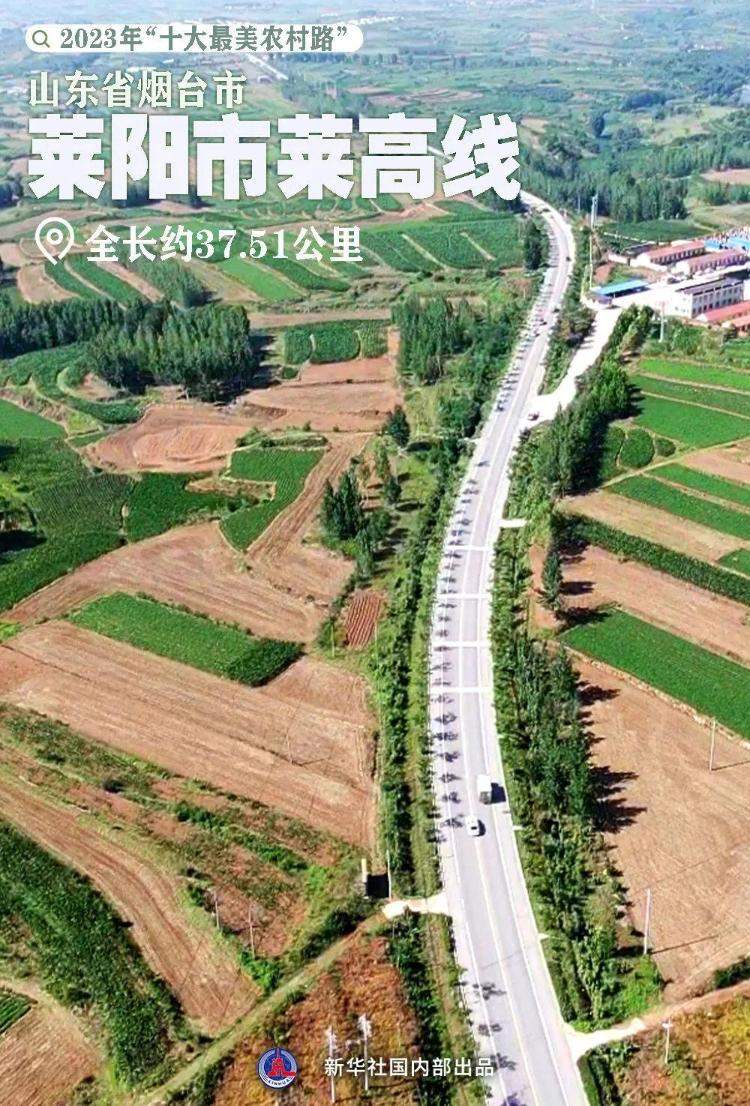 年度“十大最美农村路”！山东莱阳市莱高线上榜