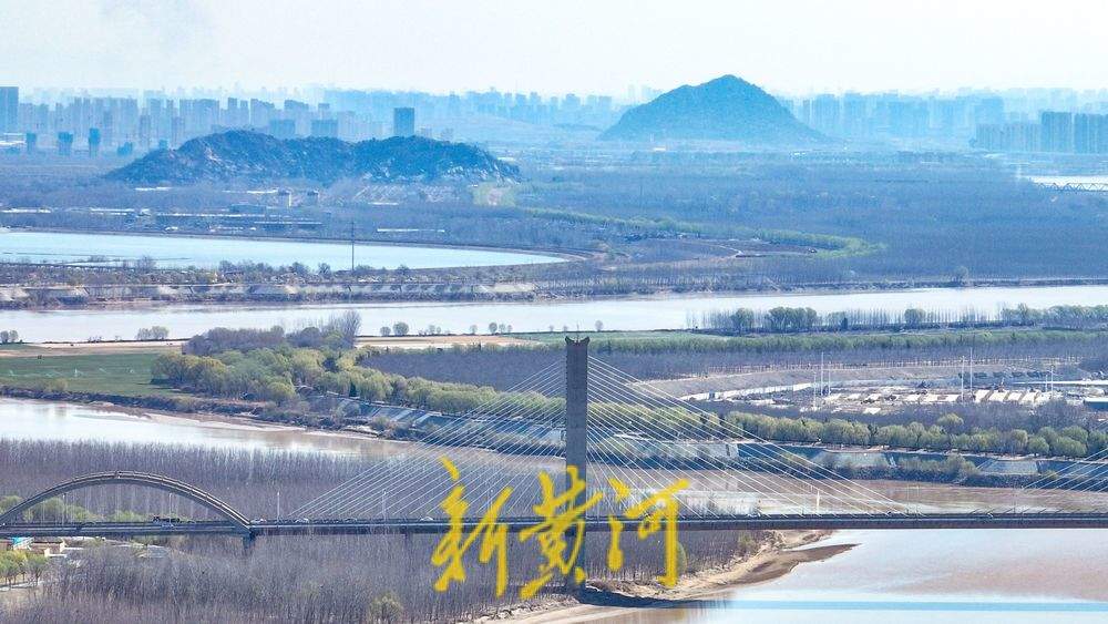 大地回春，黄河生态廊道生机勃勃