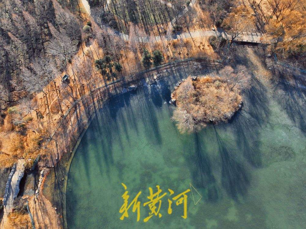 “泉”在济南冬游记｜济南森林公园冬䪨如诗