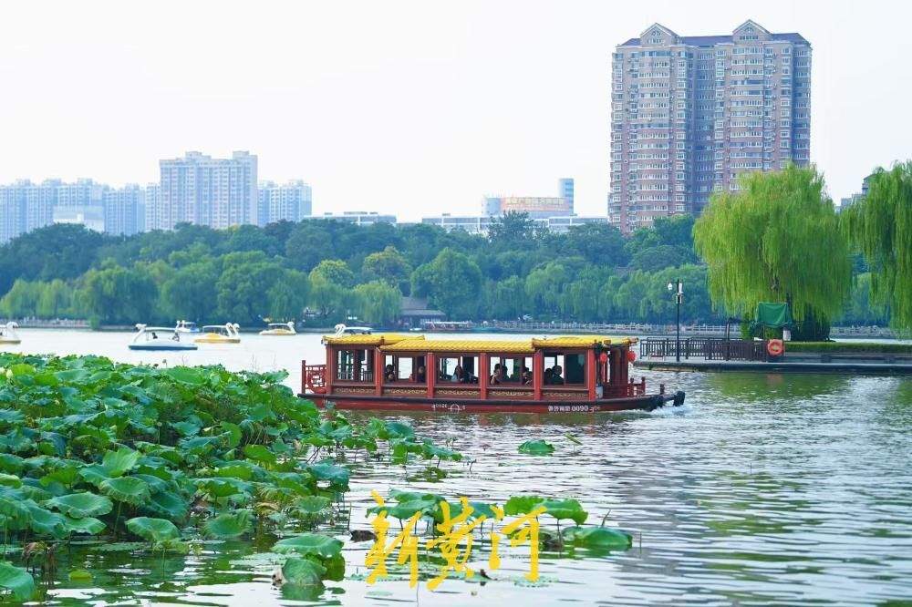 济南：大明湖落日荷塘游船同框，游客争相打卡
