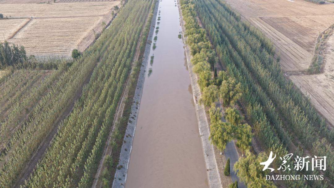 因地制宜保墒情，统筹水源调度，济南冬小麦秋种一线见闻