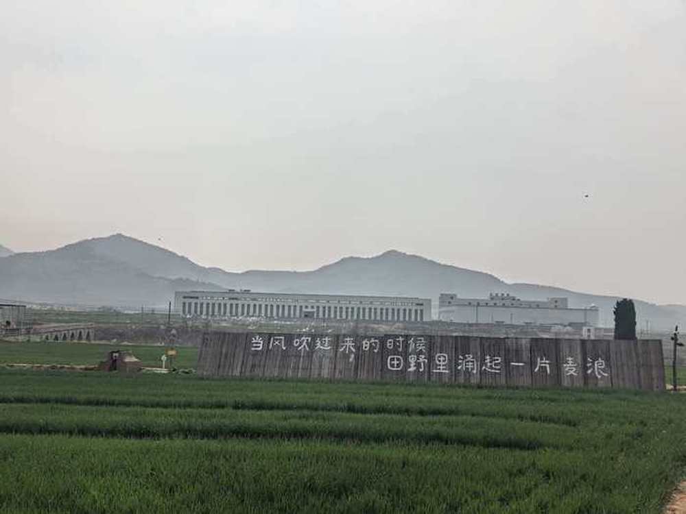 麦田里的咖啡香：济南90后情侣开了一家“村咖”，把诗和远方搬进村庄