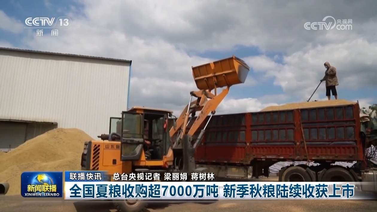 文物保护有力推进、能源电力绿色转型成效显著 多领域发展“全面开花”