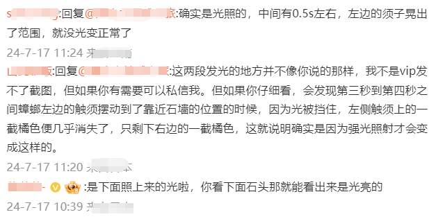 汗流浃背！广东蟑螂已经会发光了 进化成萤火虫3.0版？