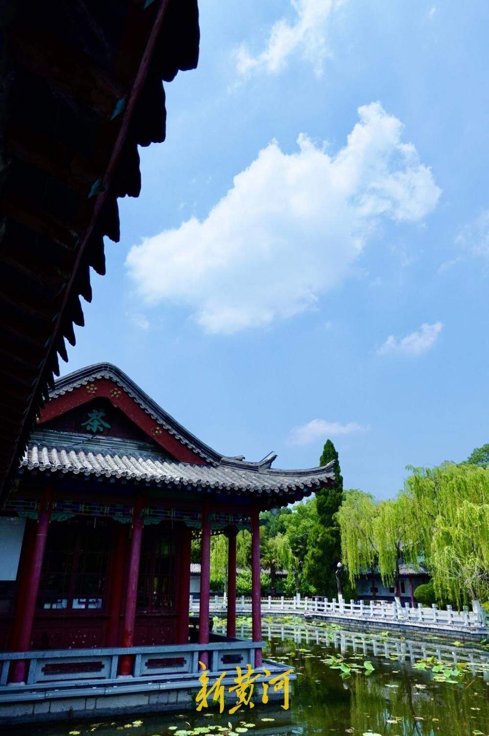 泉城“一秒入夏” 蓝天白云伴高温 - 济南社会 - 舜网新闻