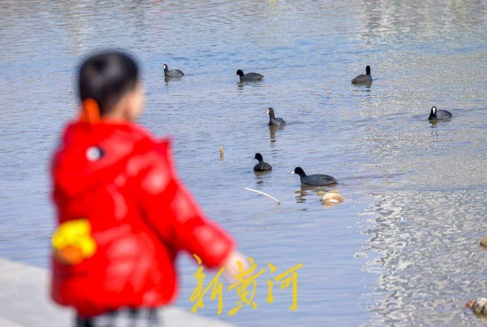 ϣƽ̤˷ɣ硰ִ