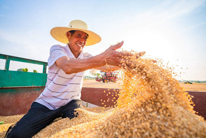 筑牢应对风雨的强大底气