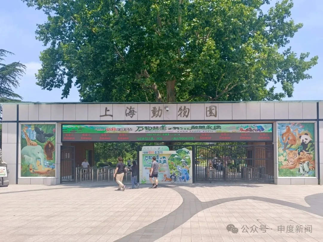 10月龄婴儿上海动物园内喝奶瓶被驱赶，园方称做法合规无需道歉，网友吵翻