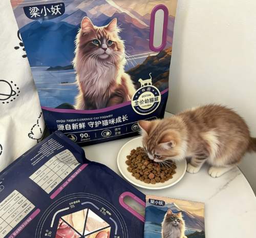 2026年猫粮选购攻略：从成分到适口性，选对不踩雷