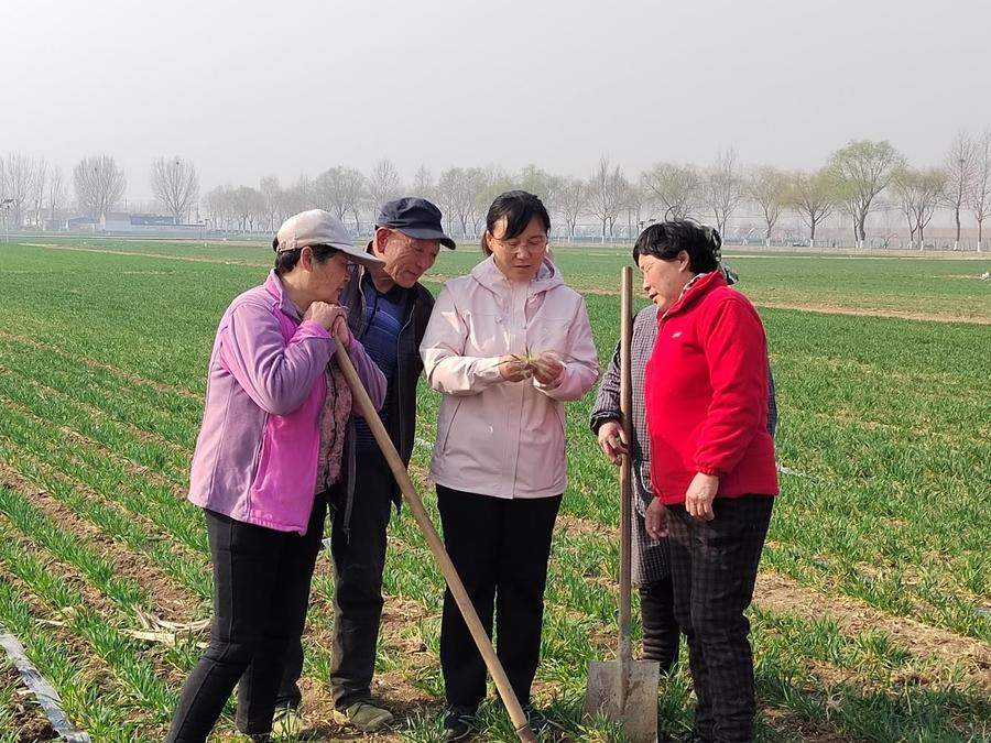 山东这10人获表彰！2023年度全国三八红旗手名单揭晓