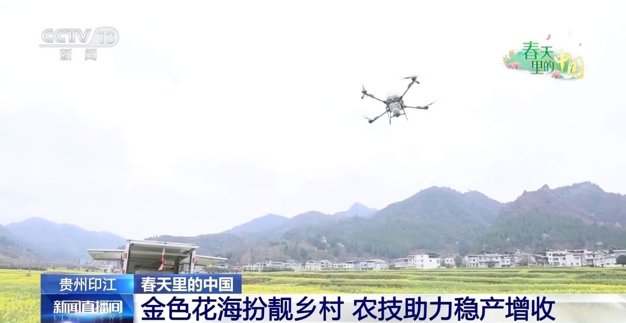 各地春日赏花有哪些好去处？请看这份赏花攻略