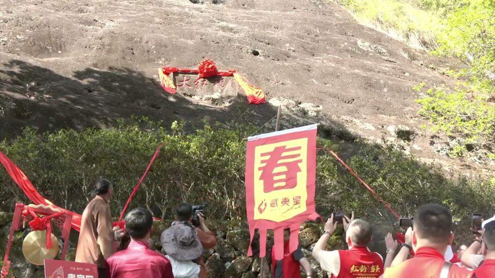 新华视点丨春日焕新景 产业促振兴