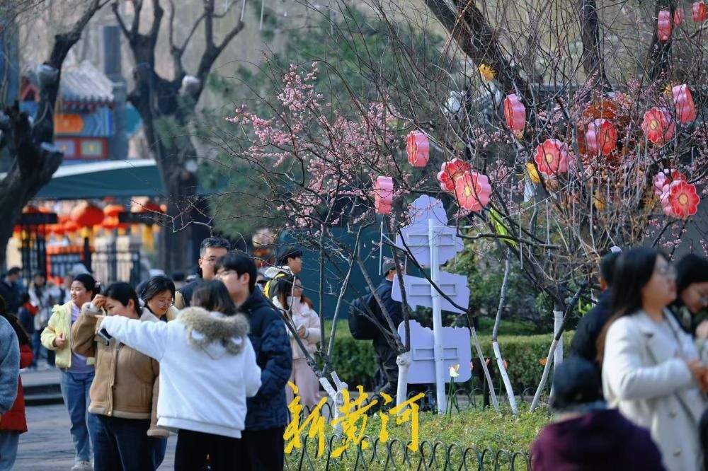 济南五龙潭泉畔红梅盛开，游人争相打卡享春光