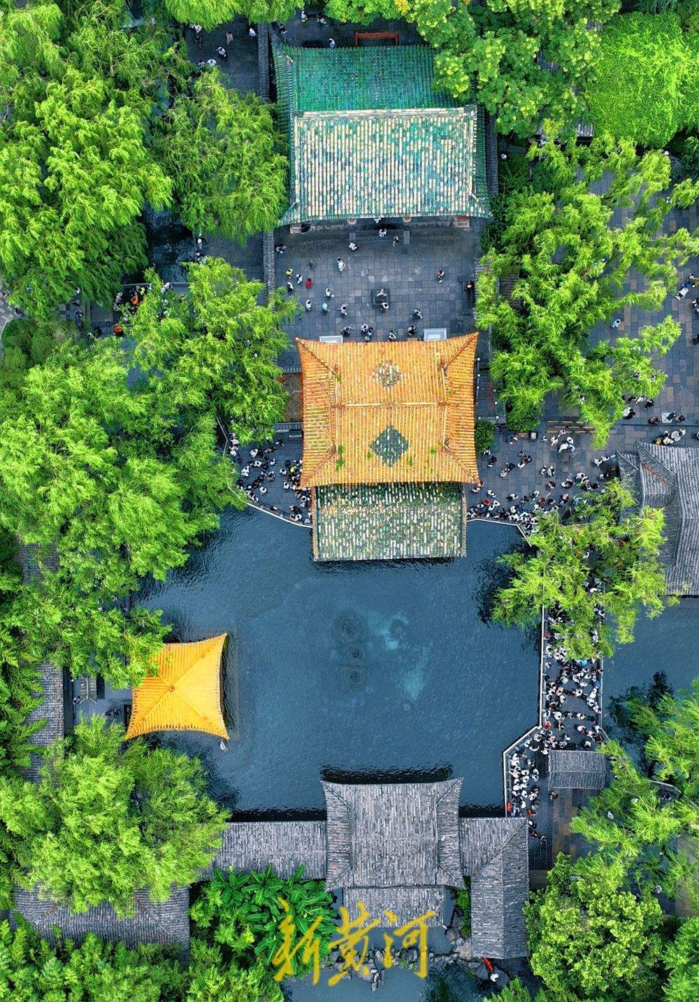 一年四季 泉在济南丨趵突泉雨后撒欢 漫步其中感受别样浪漫