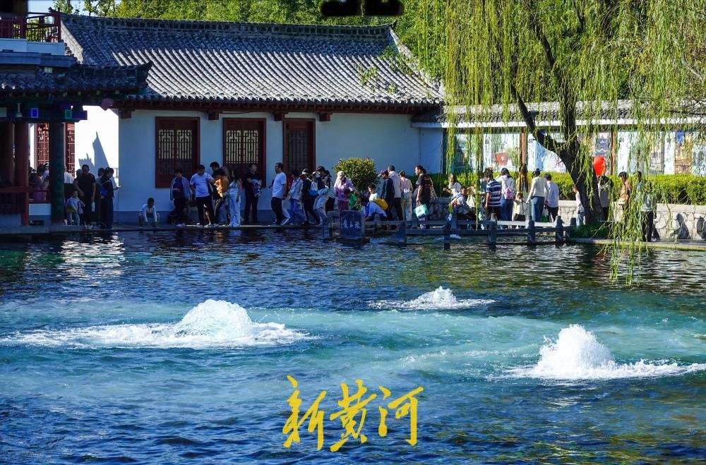 五泉齐涌如梅绽，国庆假期百脉泉公园梅花泉盛涌迎客