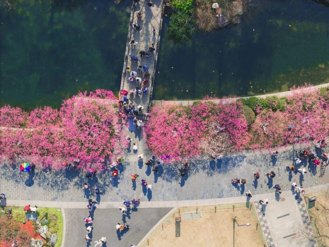 热气腾腾中国年 