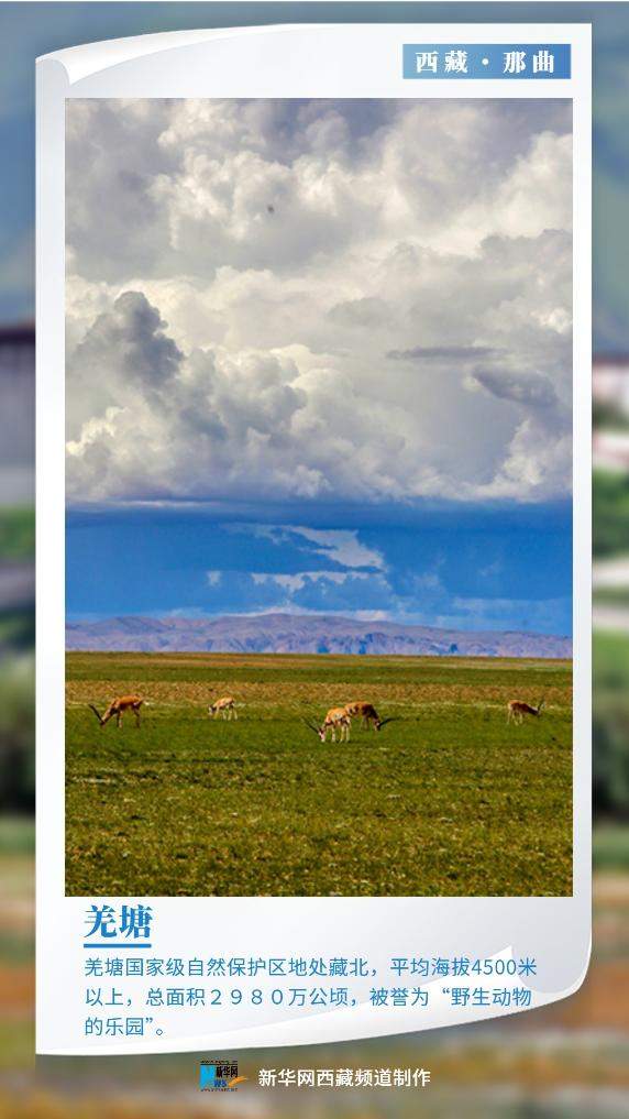 世界环境日｜美丽中国我先行 “绿色长城”阅雪域