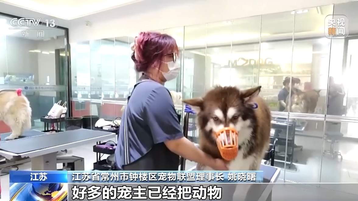 寄养一房难求、上门喂养走红 宠物经济成春节消费亮点