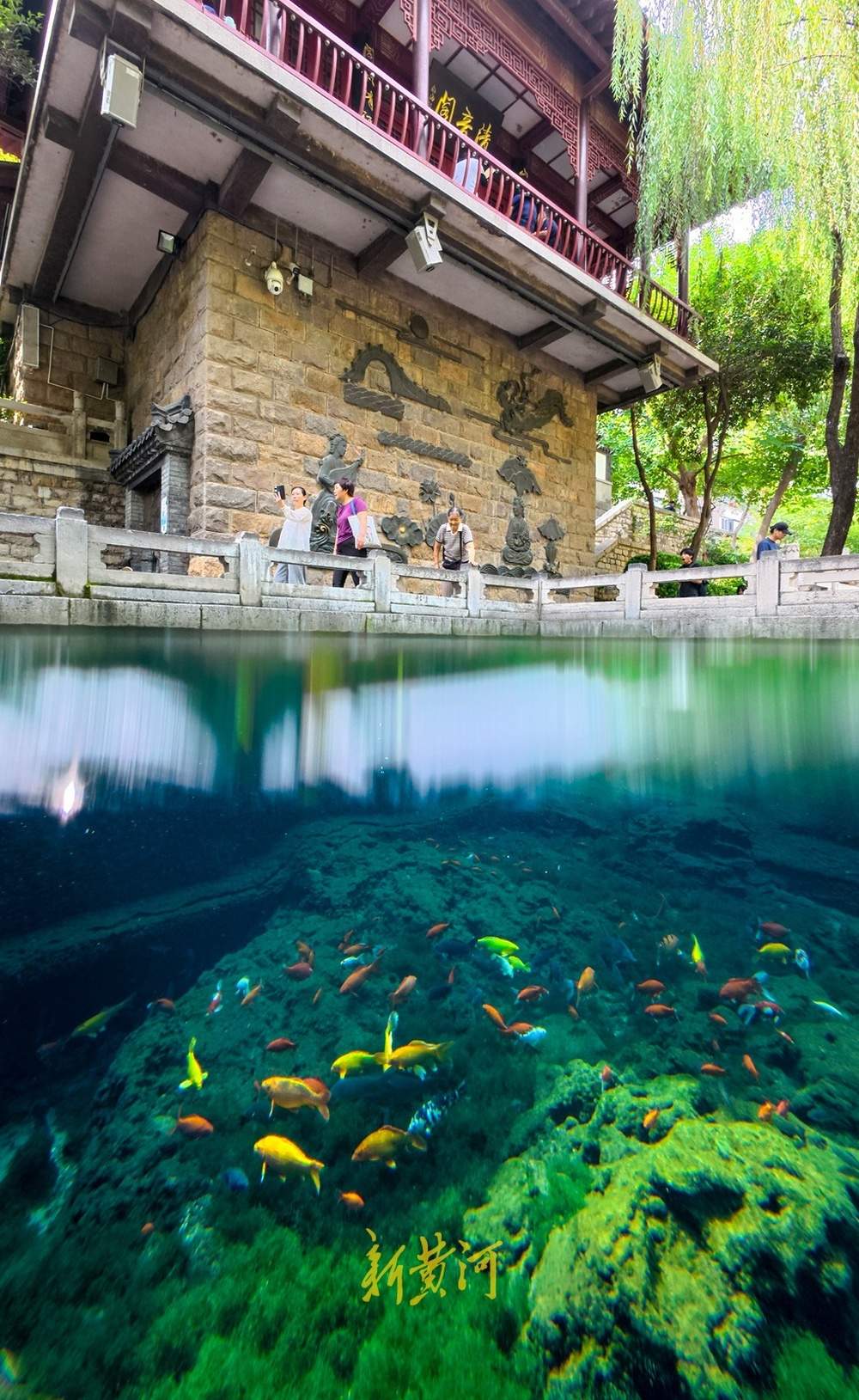 喷涌势头旺盛，济南黑虎泉将迎恢复喷涌22周年