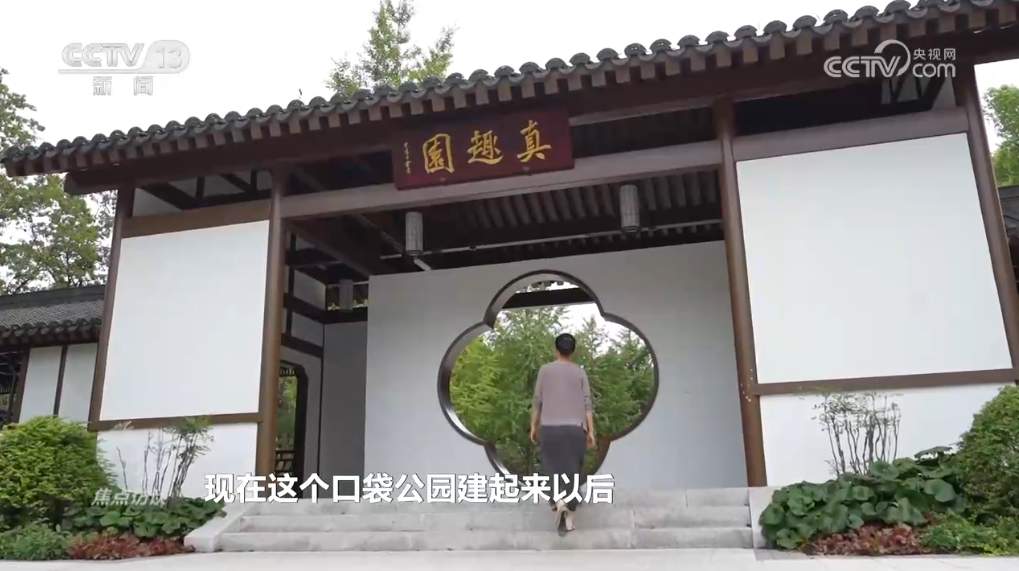 焦点访谈｜书写生态答卷，各地交出亮眼“绿色成绩单”