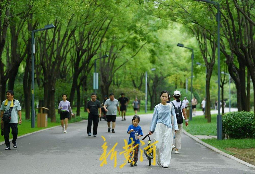 雨后漫步森林公园树荫小道 感受初秋的清凉