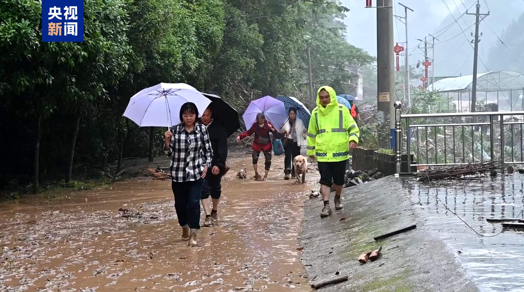 湖北宣恩突降暴雨致多处房屋被淹 当地深夜转移数百群众