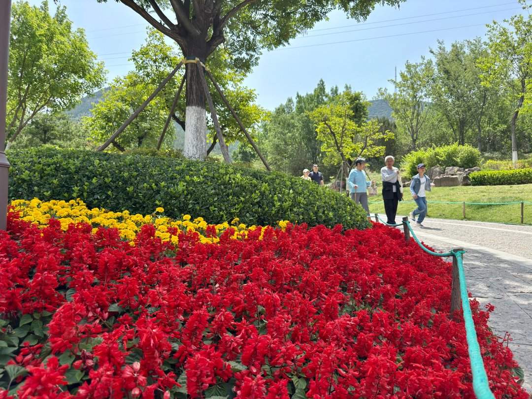 人头攒动，佛慧山公园成热门“打卡地”
