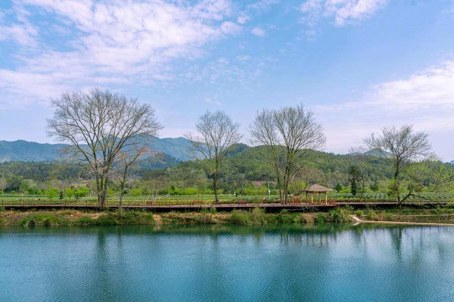 茶香武夷·“星”火燎原|2025武夷山茶足径业态招商推介会火热报名中