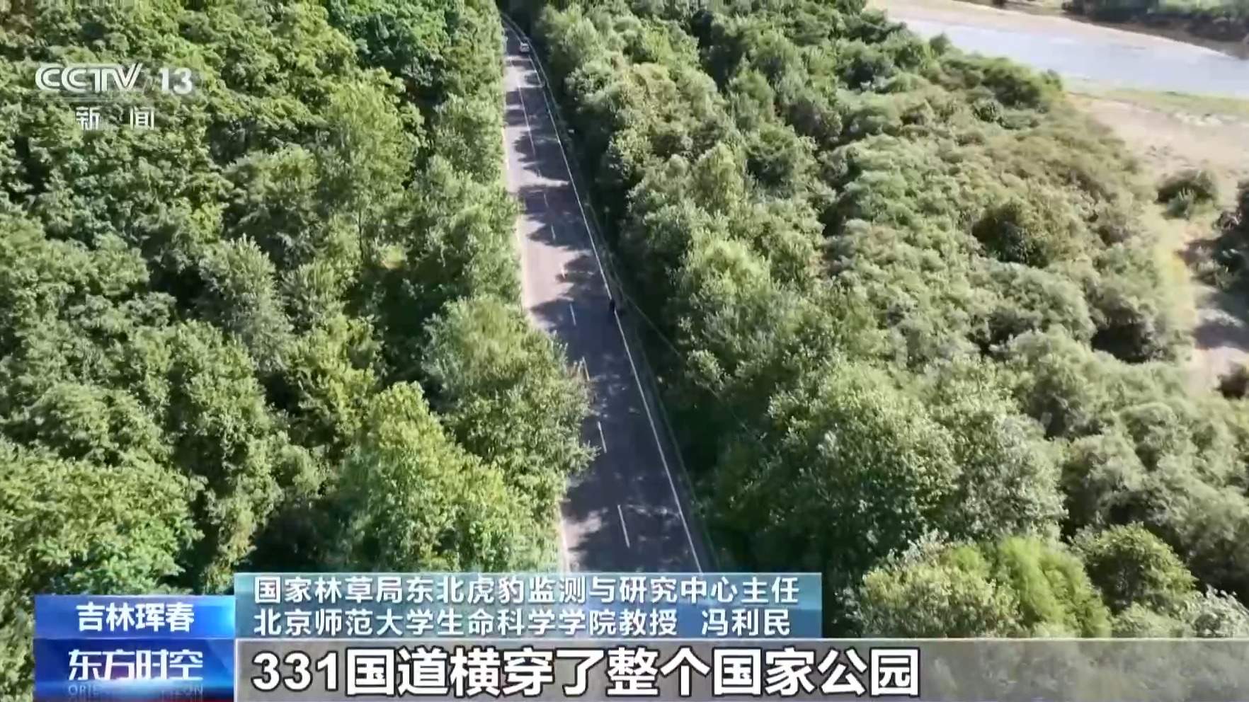 国道上多人“偶遇”同一东北虎 如何守住人虎安全边界？