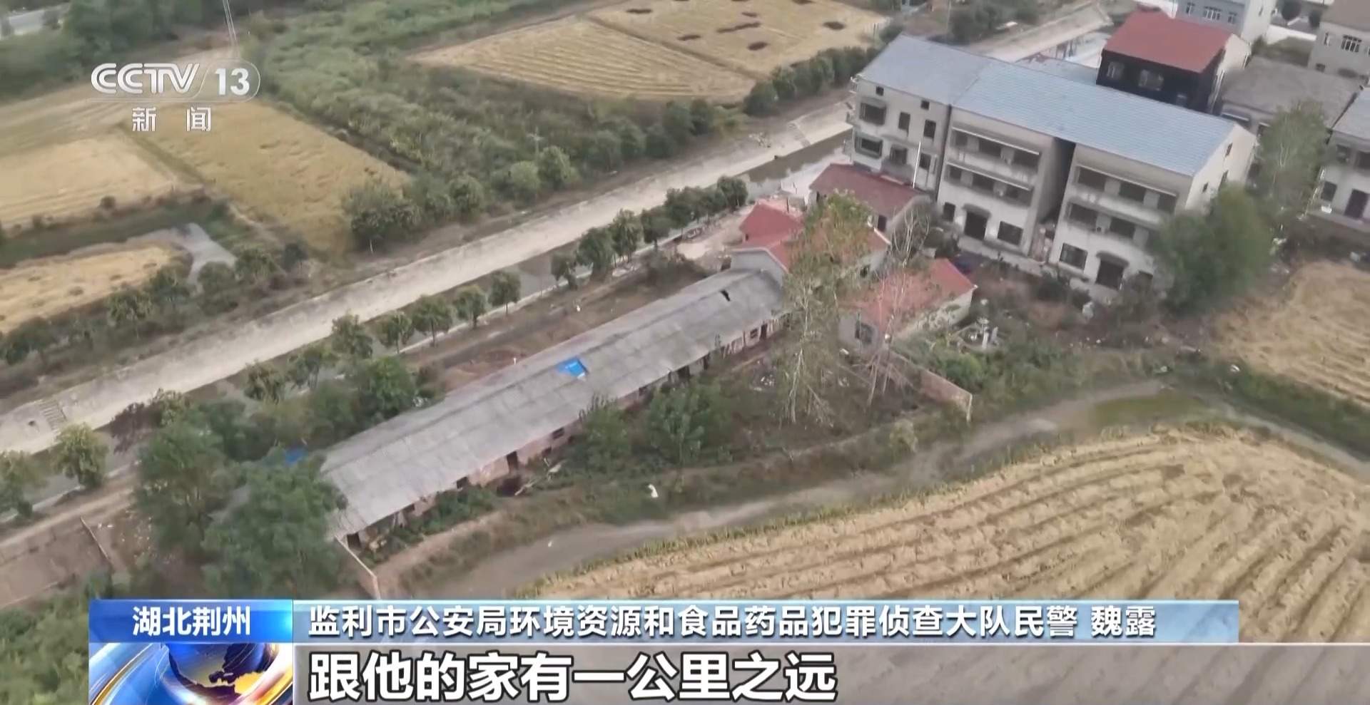 涉案1600余万元 湖北警方打掉54人非法捕杀候鸟团伙