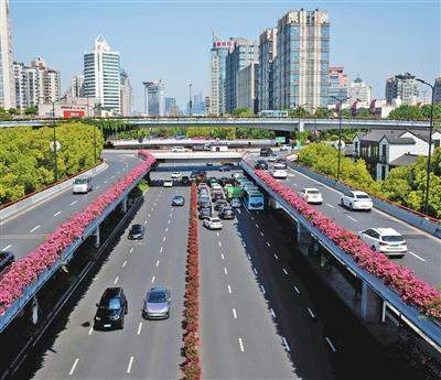 高架种花是“烧钱”吗？杭州算了三笔账