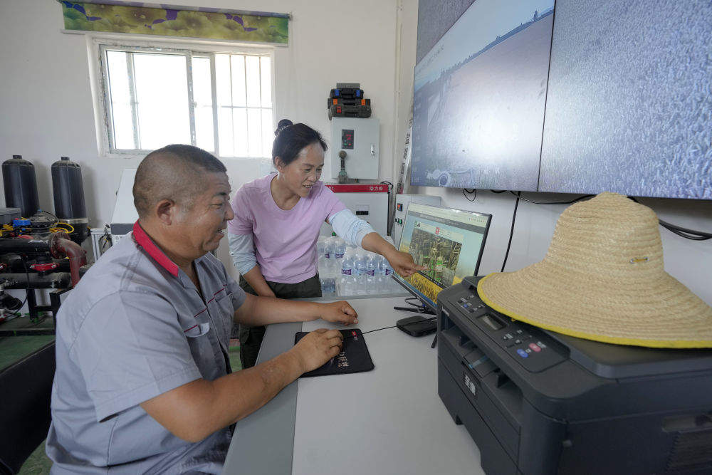 “三夏”大忙正当时 麦浪滚滚穗飘香